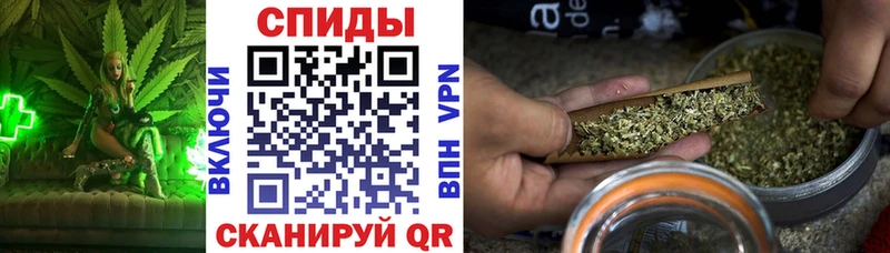 Бутират буратино  Могоча 