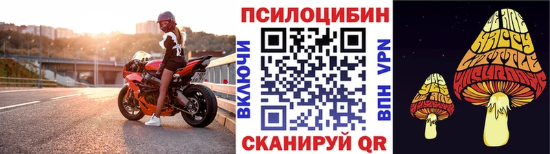 Псилоцибиновые грибы Psilocybe  где купить наркоту  Могоча 